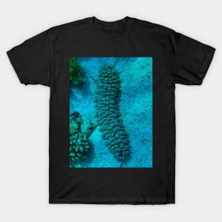 Sea cucumber T-Shirt